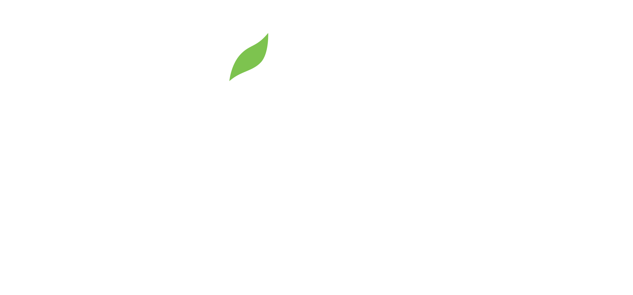 PLISCA Company Logo
